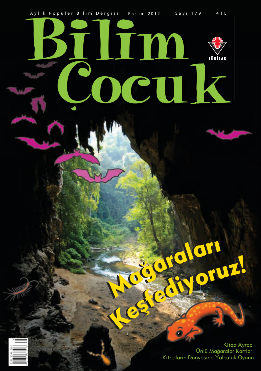 Bilim ve Çocuk Sayı 179 Kasım 2012 PDF İndir – Kolektif