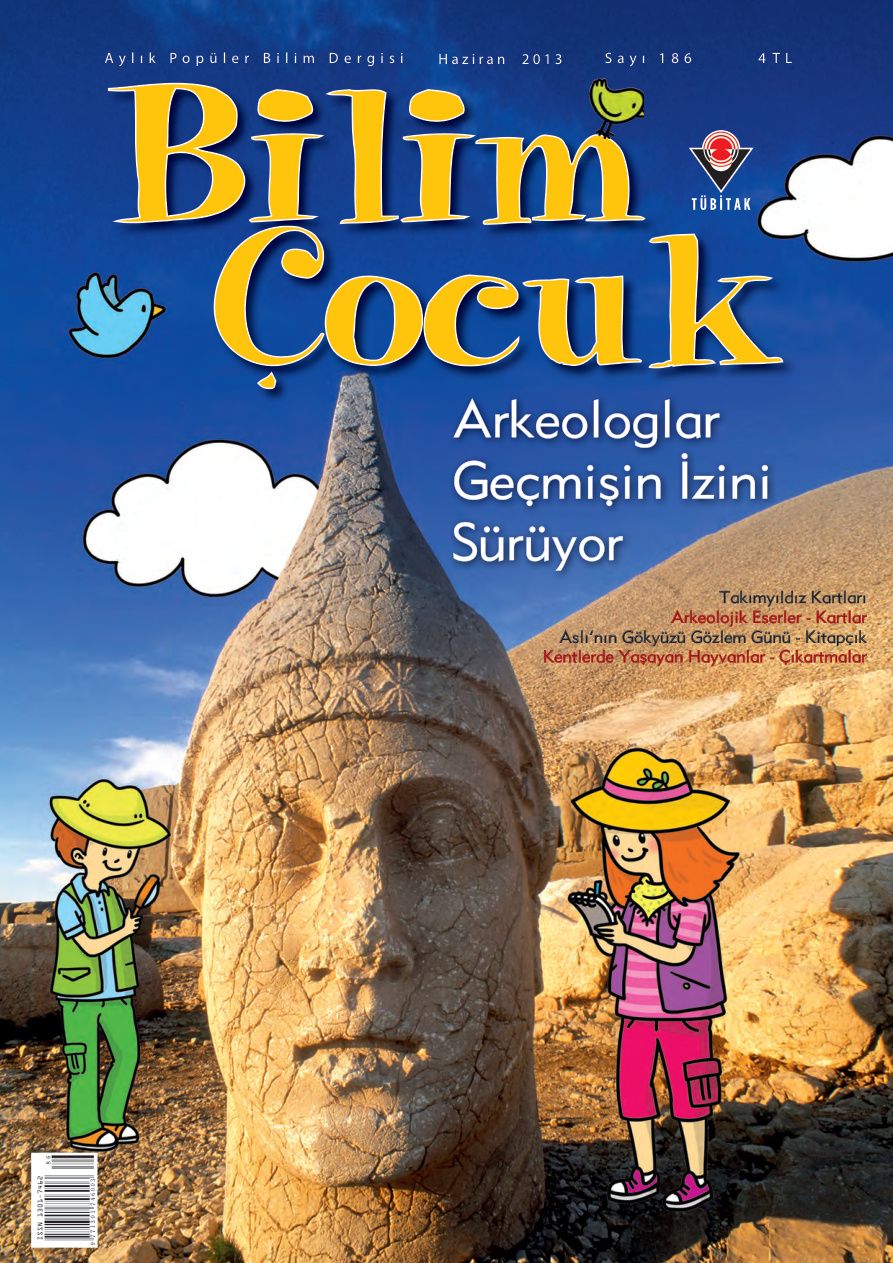 Bilim ve Çocuk Sayı 186 Haziran 2013 PDF İndir – Kolektif