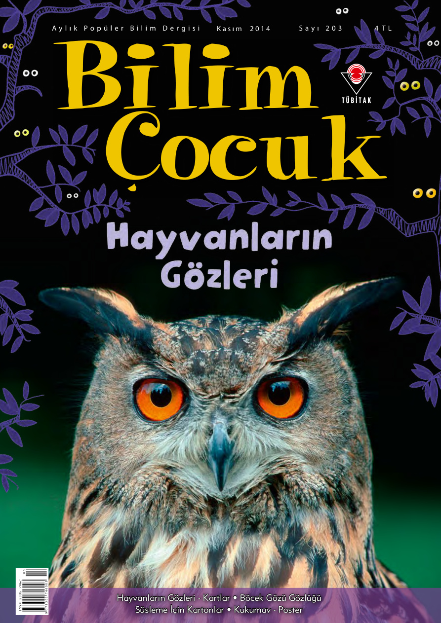 Bilim ve Çocuk Sayı 203 Kasım 2014 PDF İndir – Kolektif