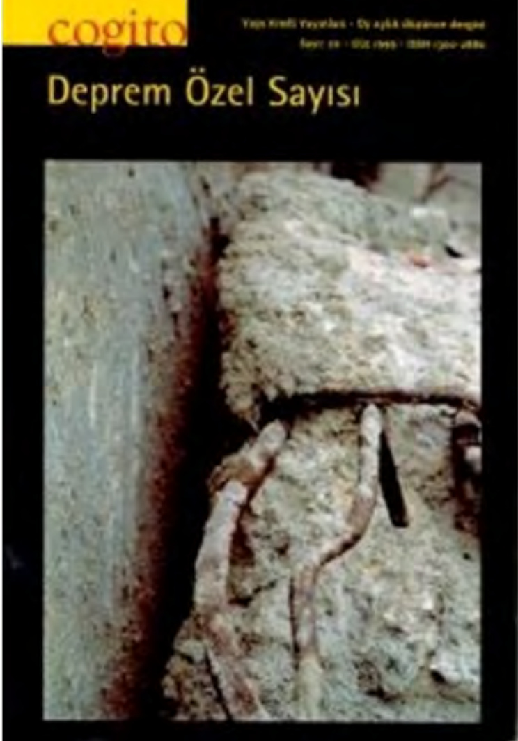 Cogito 20 PDF İndir – Cogito Dergisi Kolektifi