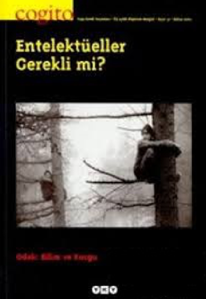 Cogito 31 PDF İndir – Cogito Dergisi Kolektifi