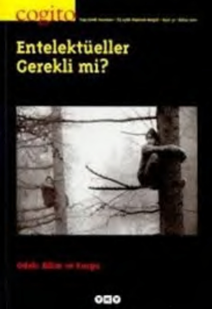 Cogito Sayı 031 Entelektüeller Gerekli mi PDF İndir – Kolektif