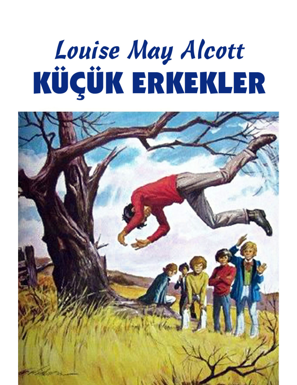 Küçük Erkekler PDF İndir – Louisa May Alcott