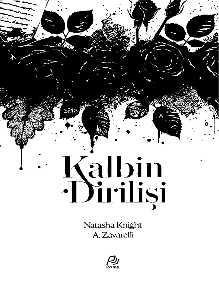 The Society 3 Kalbin Dirilişi PDF İndir – Natasha Knight ve A Zavarelli