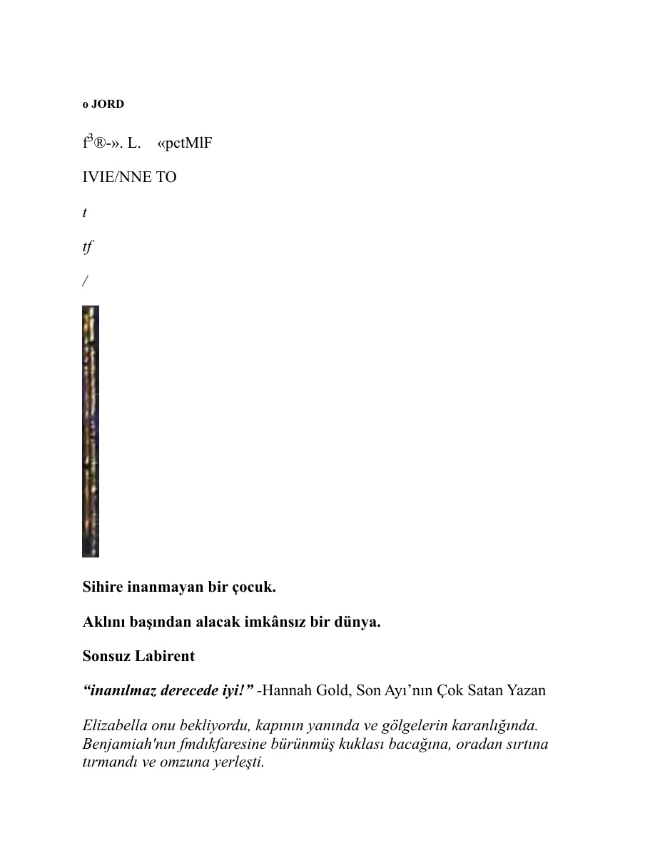 Sırfısıldayan – Sonsuz Labirent PDF İndir – Jordan Lees