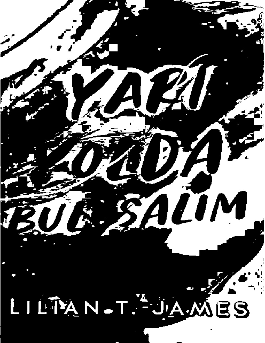 Yarı Yolda Buluşalım PDF İndir – Lilian T James