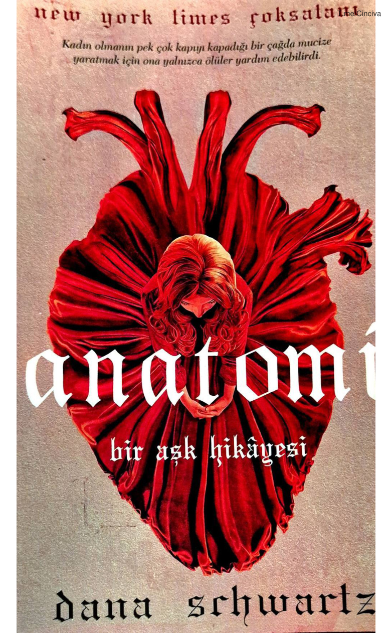 Anatomi PDF İndir