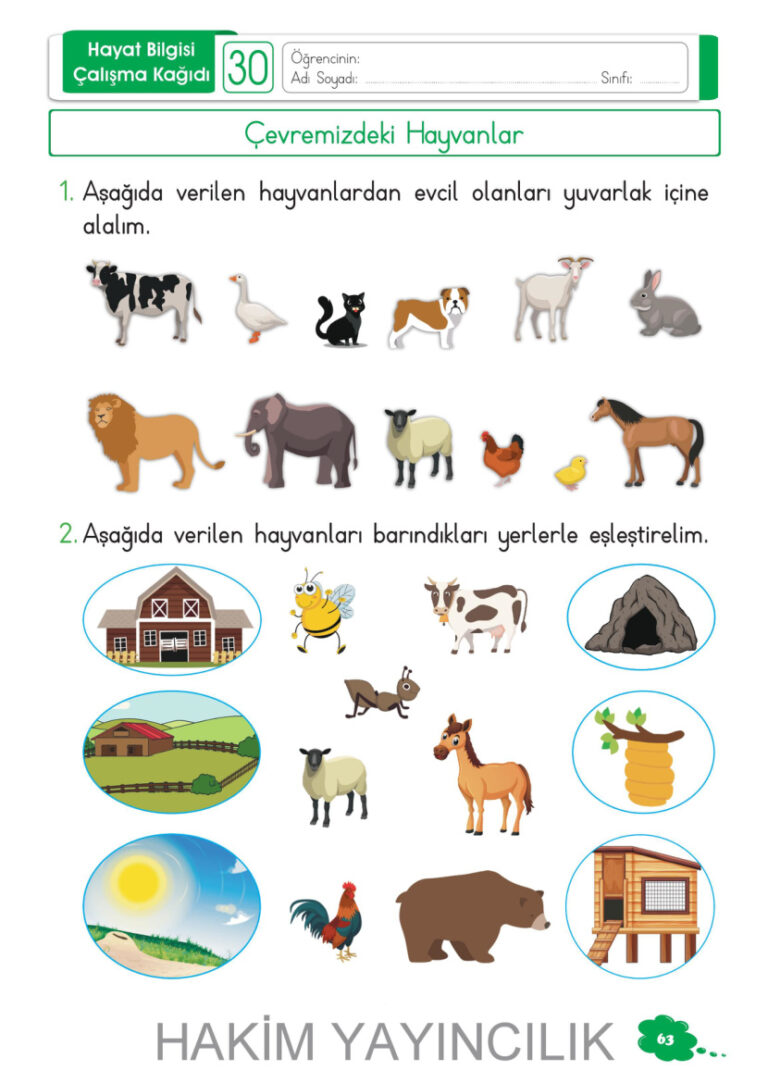 1.Sinif Hayat Bilgisi 30. Hafta Kitap Kapağı