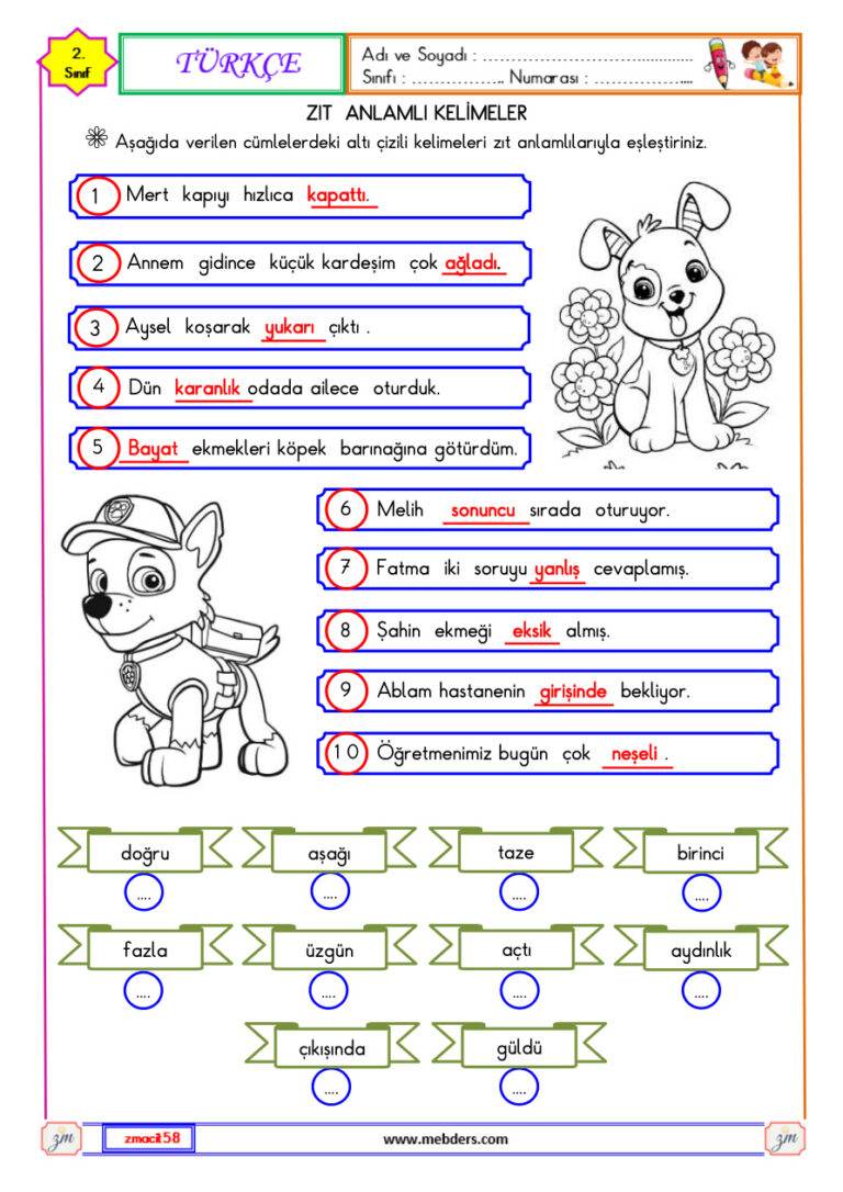 2.SINIF 17.HAFTA ÖDEVLERİ Kitap Kapağı