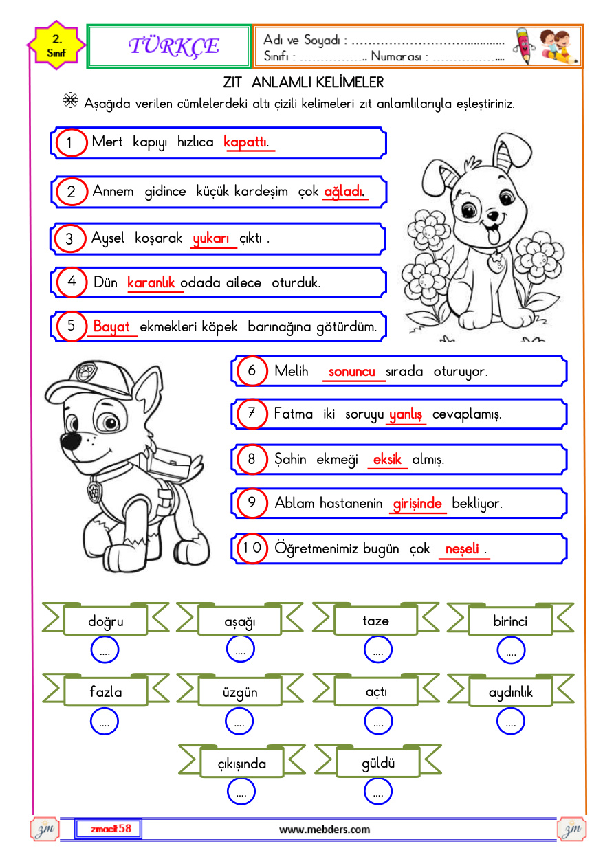 2. Sınıf 17. Hafta Ödevleri PDF İndir – Komisyon