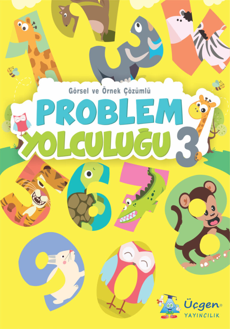 3. Sınıf Problem Yolculuğu Kitap Kapağı