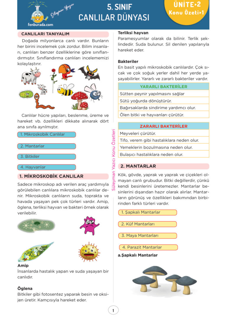 5.Sinif Fen Bilgisi 2. Unite Canlilar Dunyasi Ozeti Kitap Kapağı
