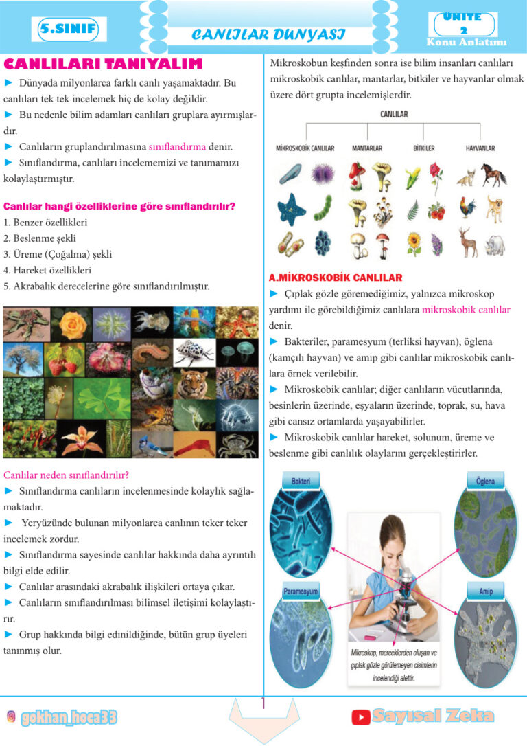 5.Sinif Fen Bilgisi 2.Unite Canlilar Dunyasi Konu Anlatimi Kitap Kapağı