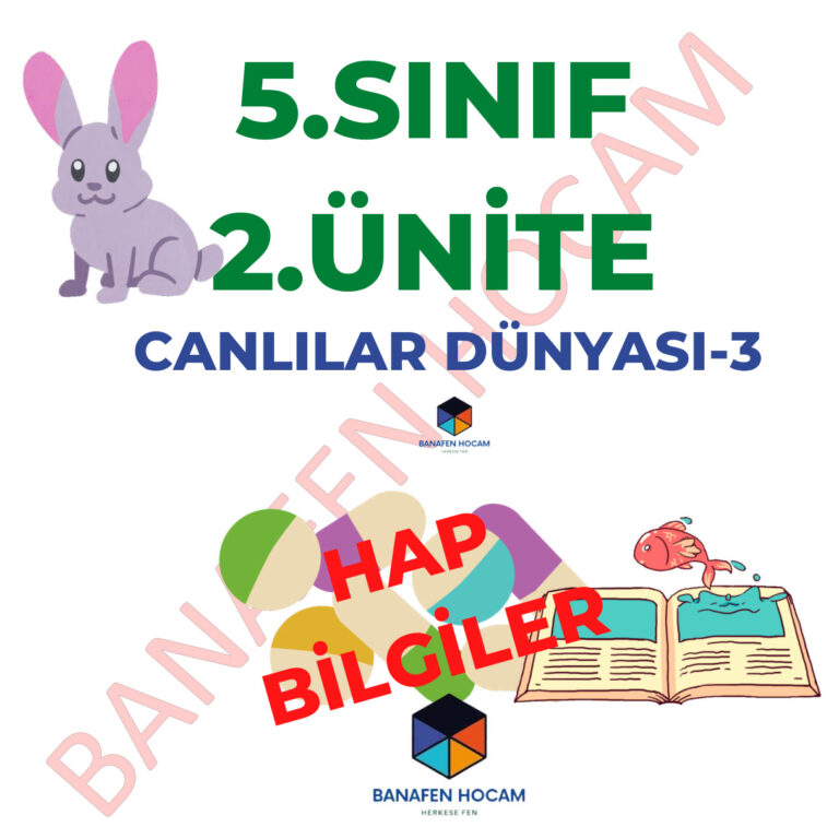 5.Sinif Fen Bilgisi 2.Unite Hap Bilgiler Kitap Kapağı