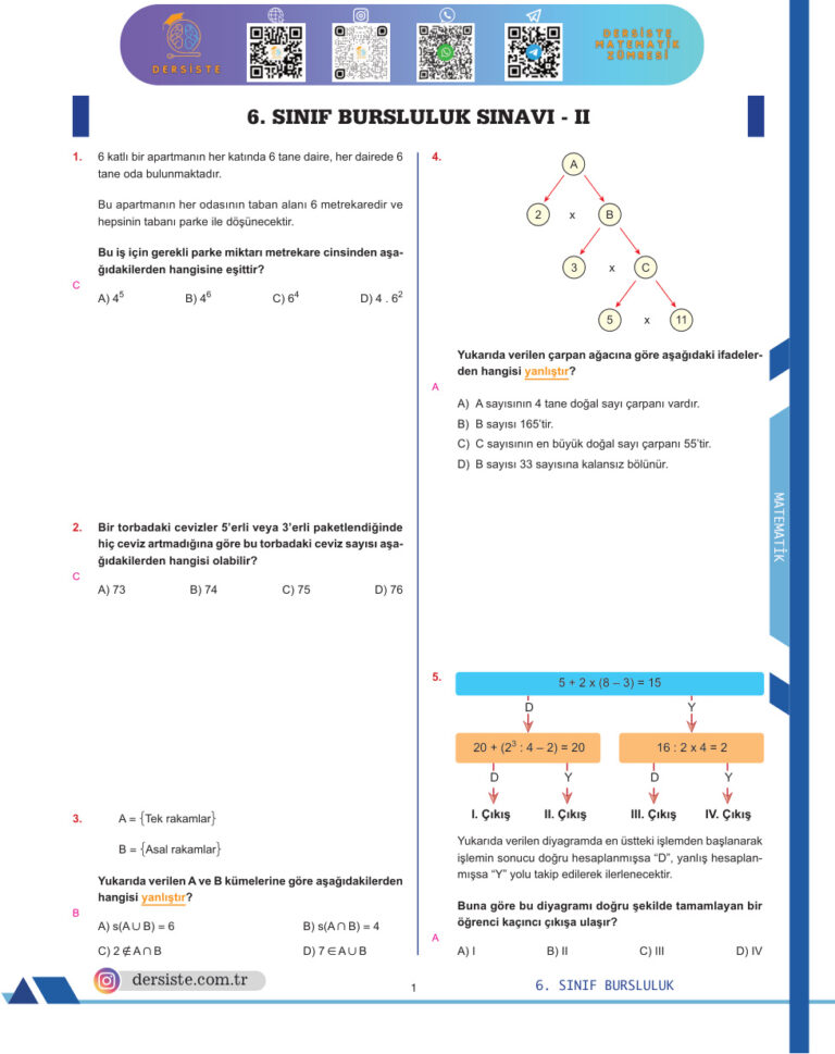6. SINIF BURSLULUK DENEME Kitap Kapağı