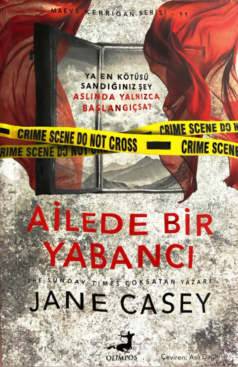 Ailede Bir Yabancı #11 PDF İndir – Jane Casey