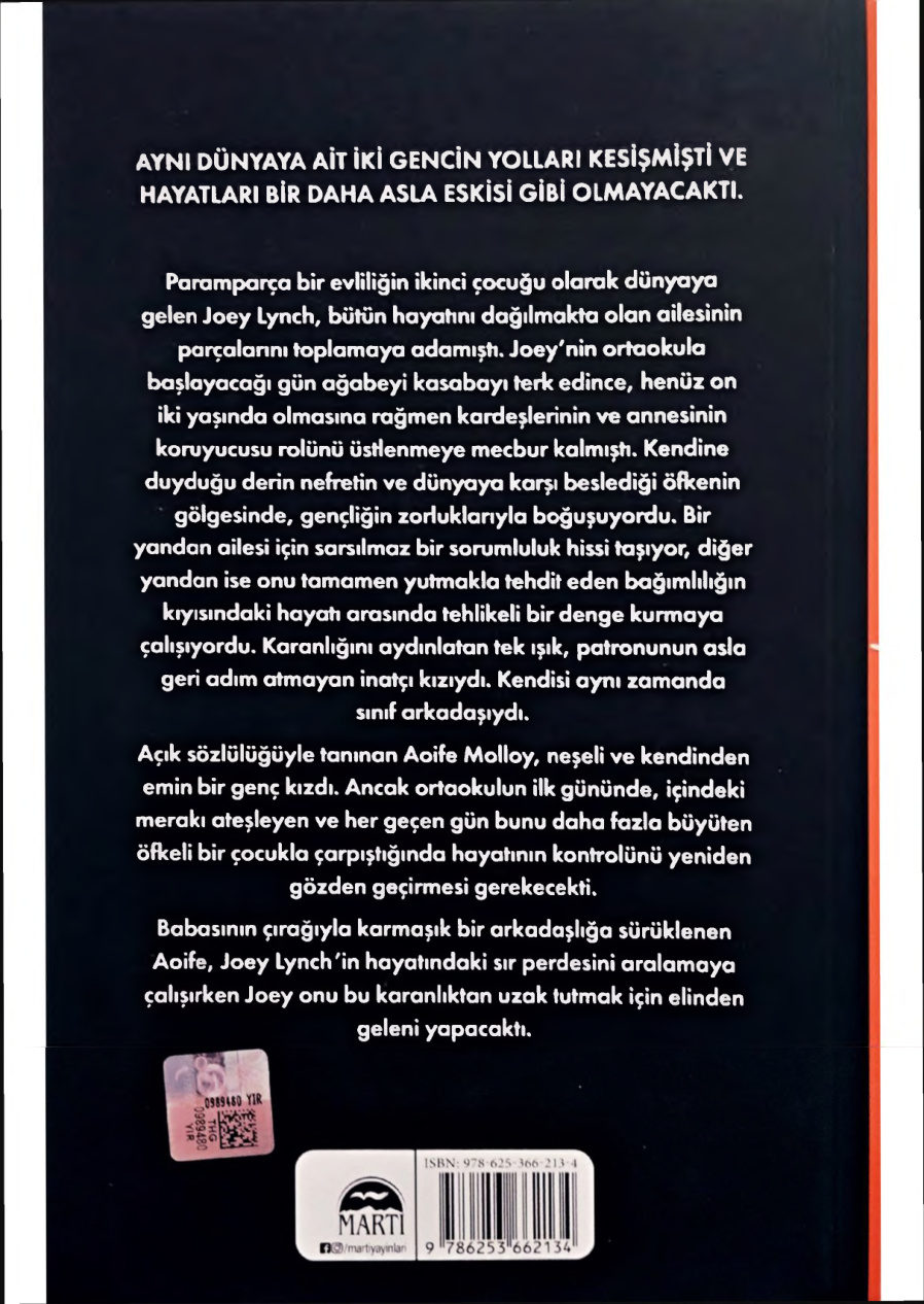 Altı’yı Kurtarmak PDF İndir – Chloe Walsh