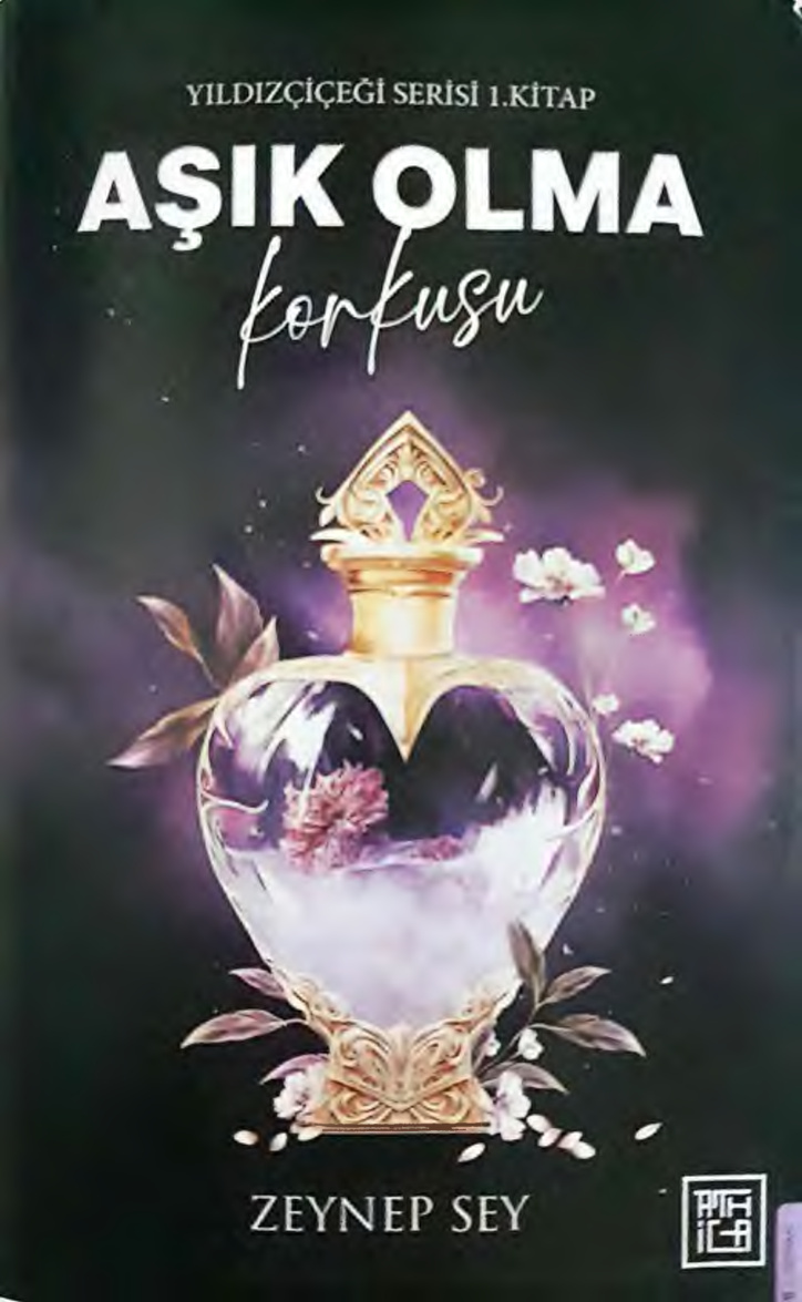 Aşık Olma Korkusu PDF İndir – Zeynep Sey