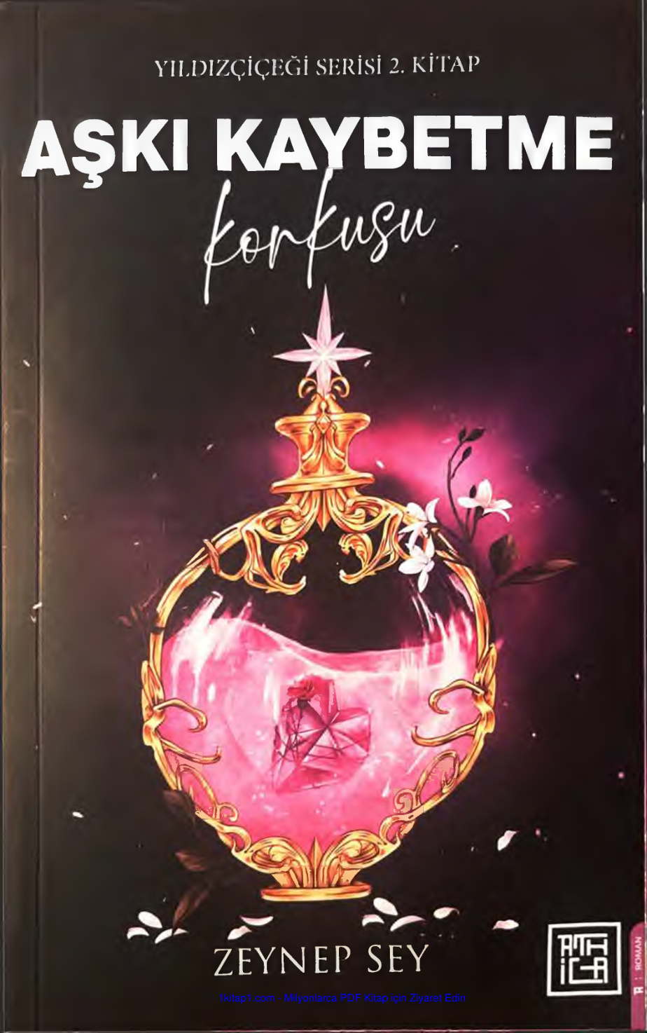 Aşkı Kaybetme Korkusu PDF İndir
