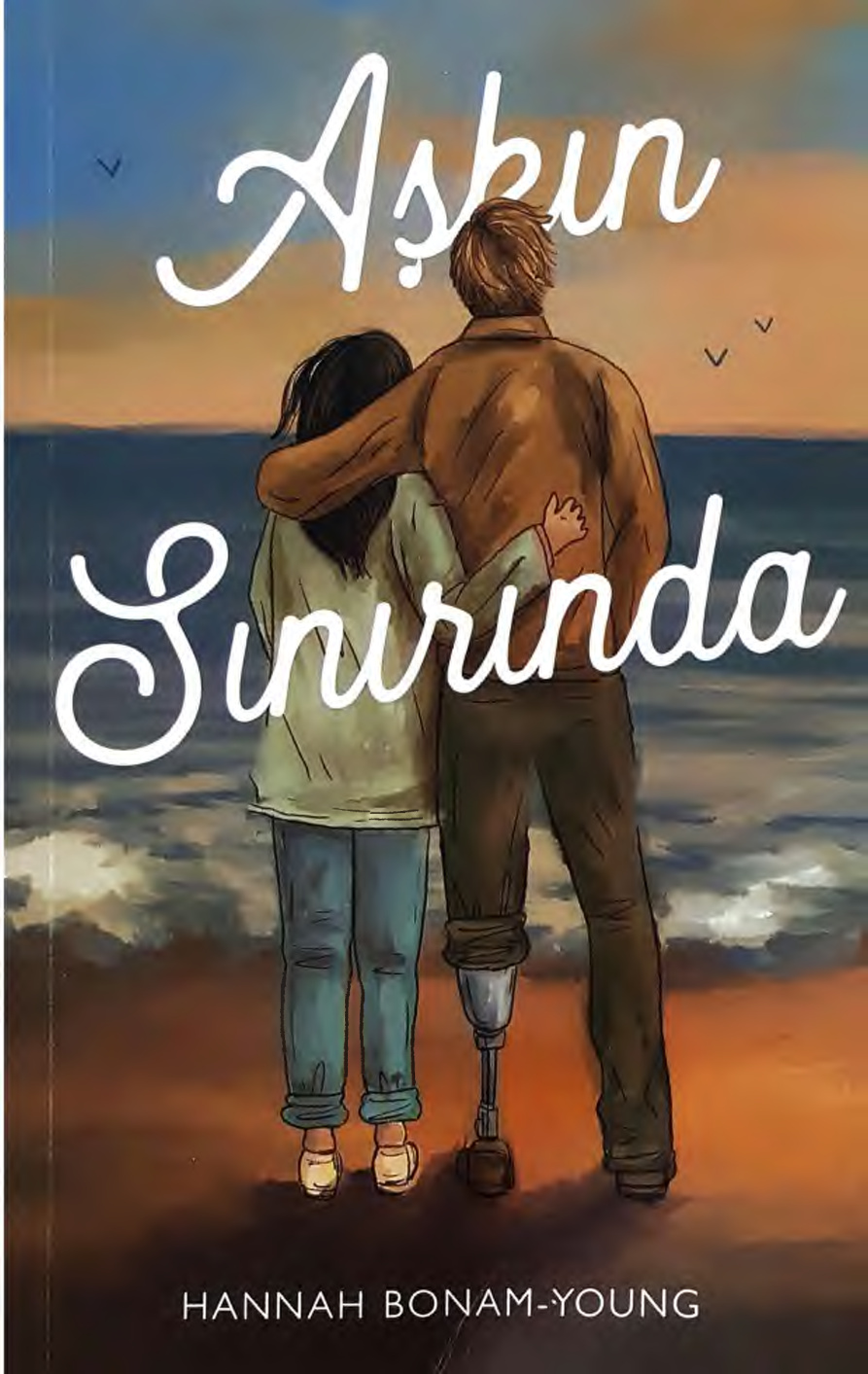 Aşkın Sınırında PDF İndir – Hannah Bonam-Young