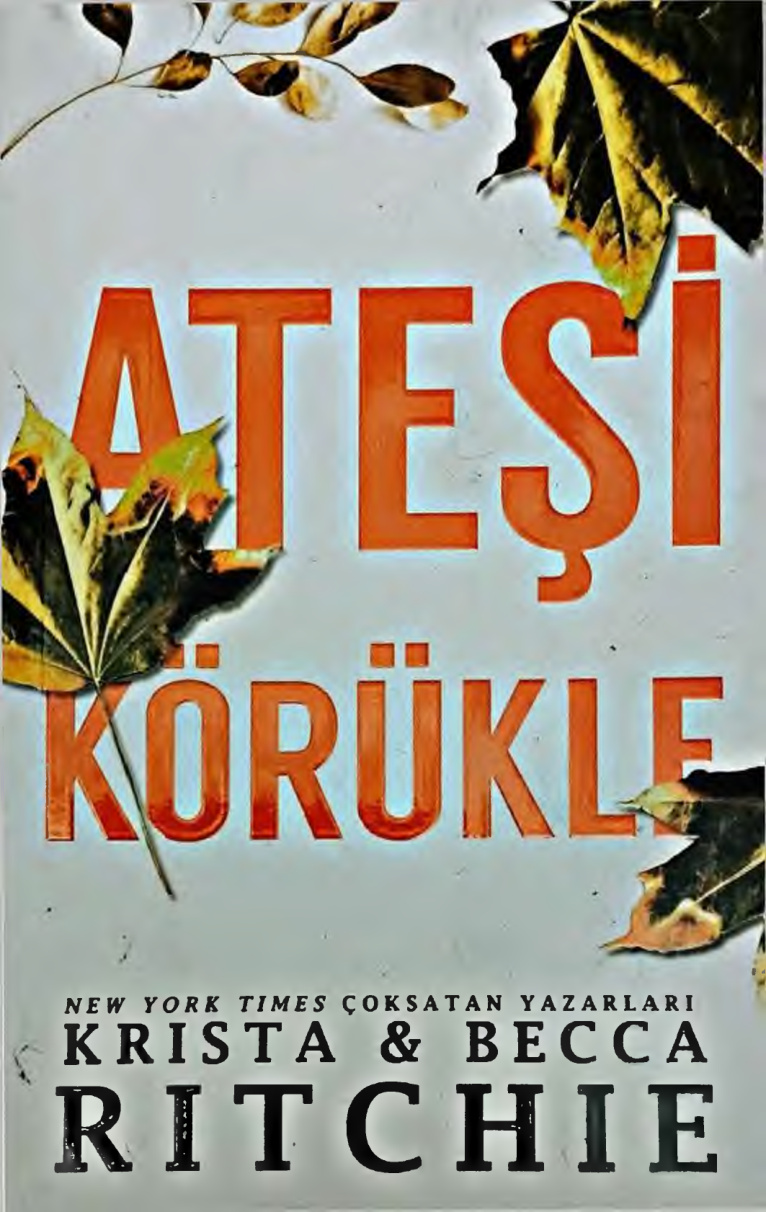 Ateşi Körükle PDF İndir – Krista Ritchie, Becca Ritchie