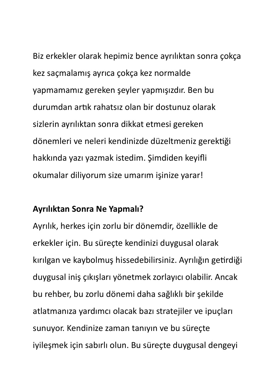 Ayrılıktan Sonra Ne Yapmalı PDF İndir