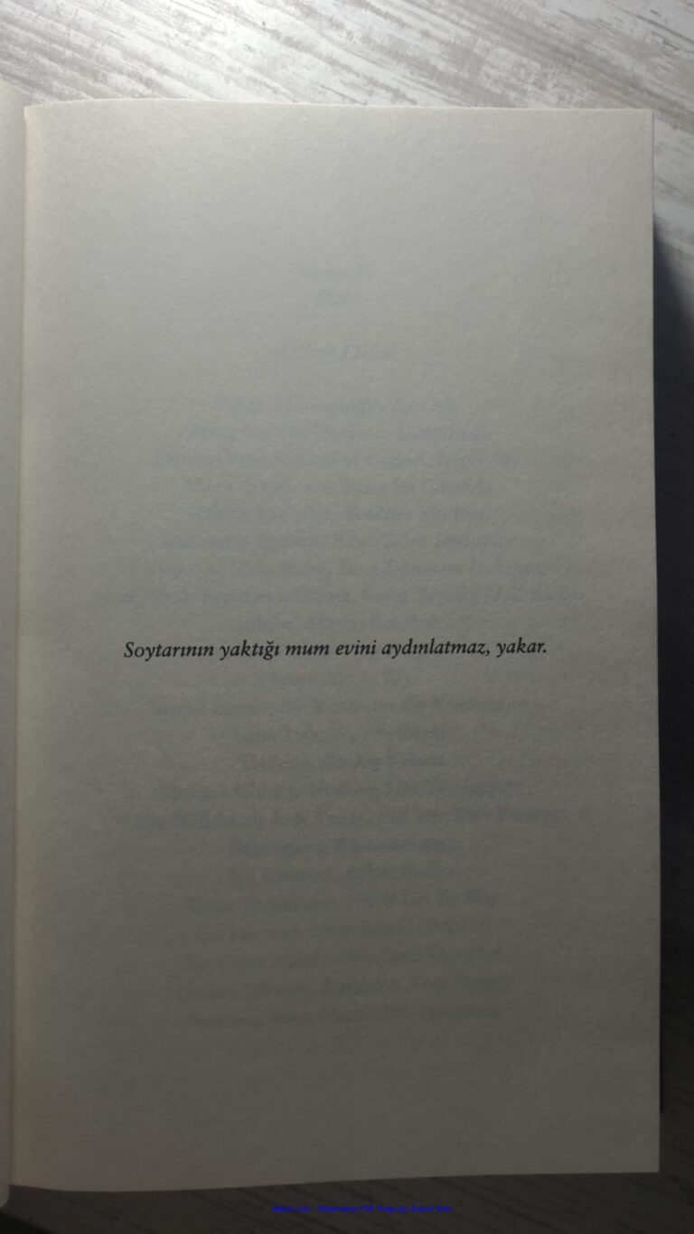 Beyza Aksoy Siyam 4 Mare Kitap Kapağı