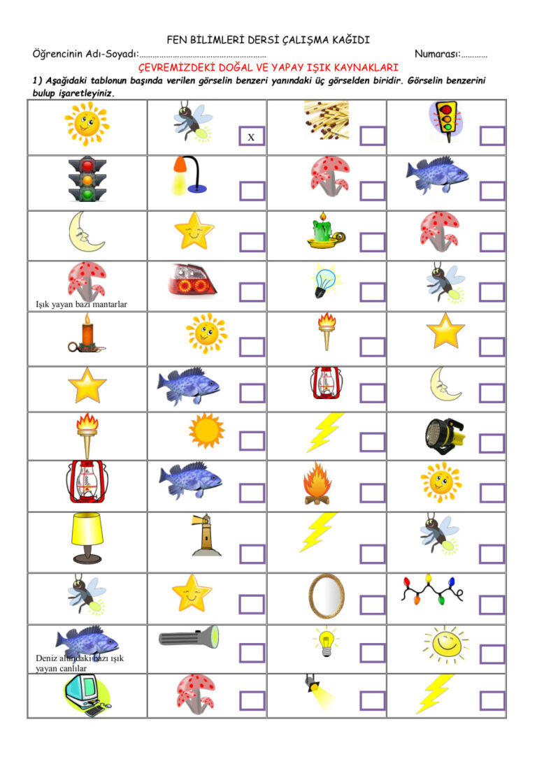 DOĞAL YAPAY IŞIK ETKİNLİK Kitap Kapağı