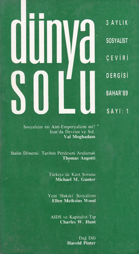 Dünya Solu: 3 Aylık Sosyalist Çeviri Dergisi Sayı 001 PDF İndir