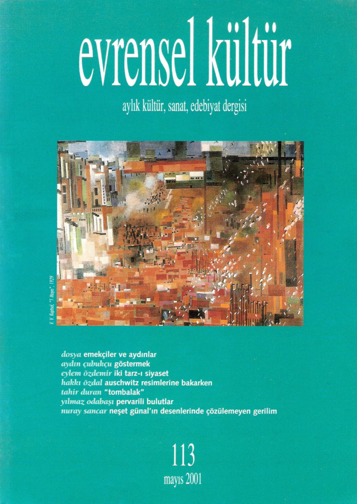 Evrensel Kültür Sayı 113 Mayıs 2001 PDF İndir – Editör Kurulu
