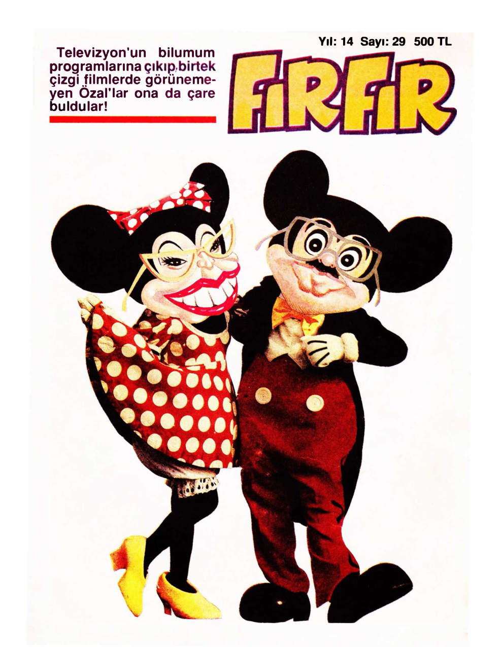 FırFır Sayı 029 Kitap Kapağı