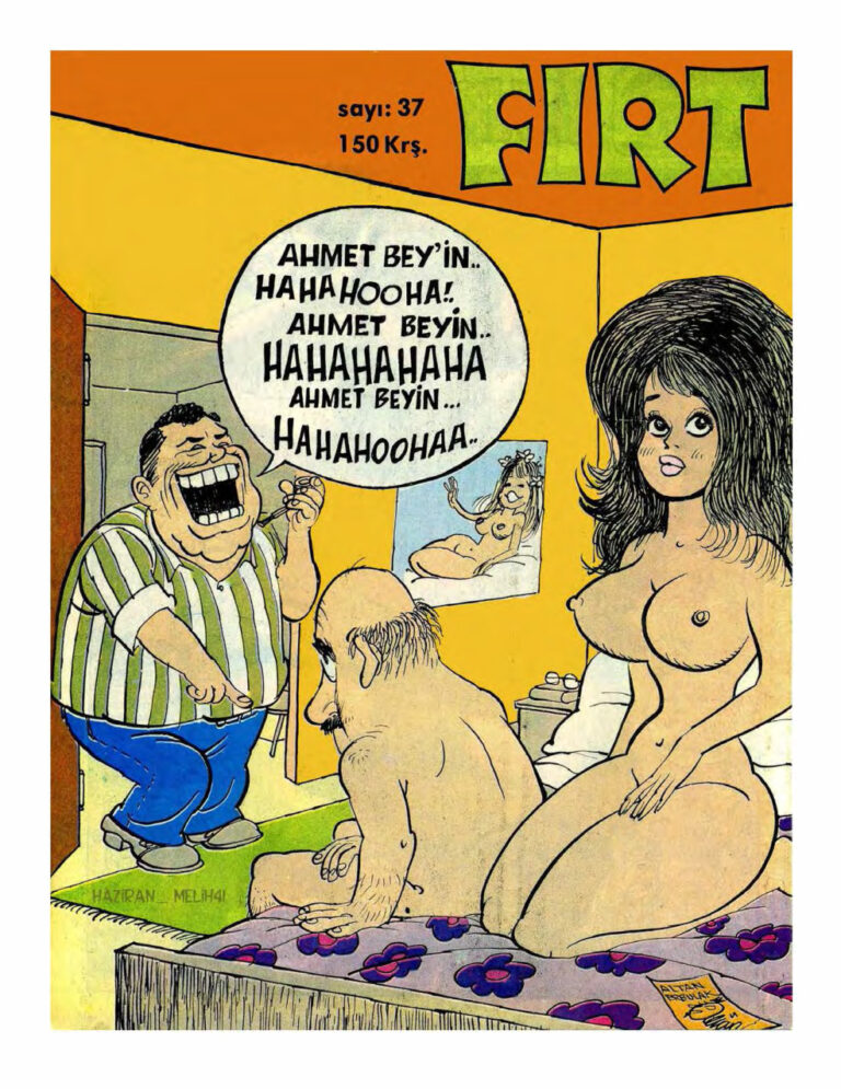 Fırt 1976 037 Kitap Kapağı