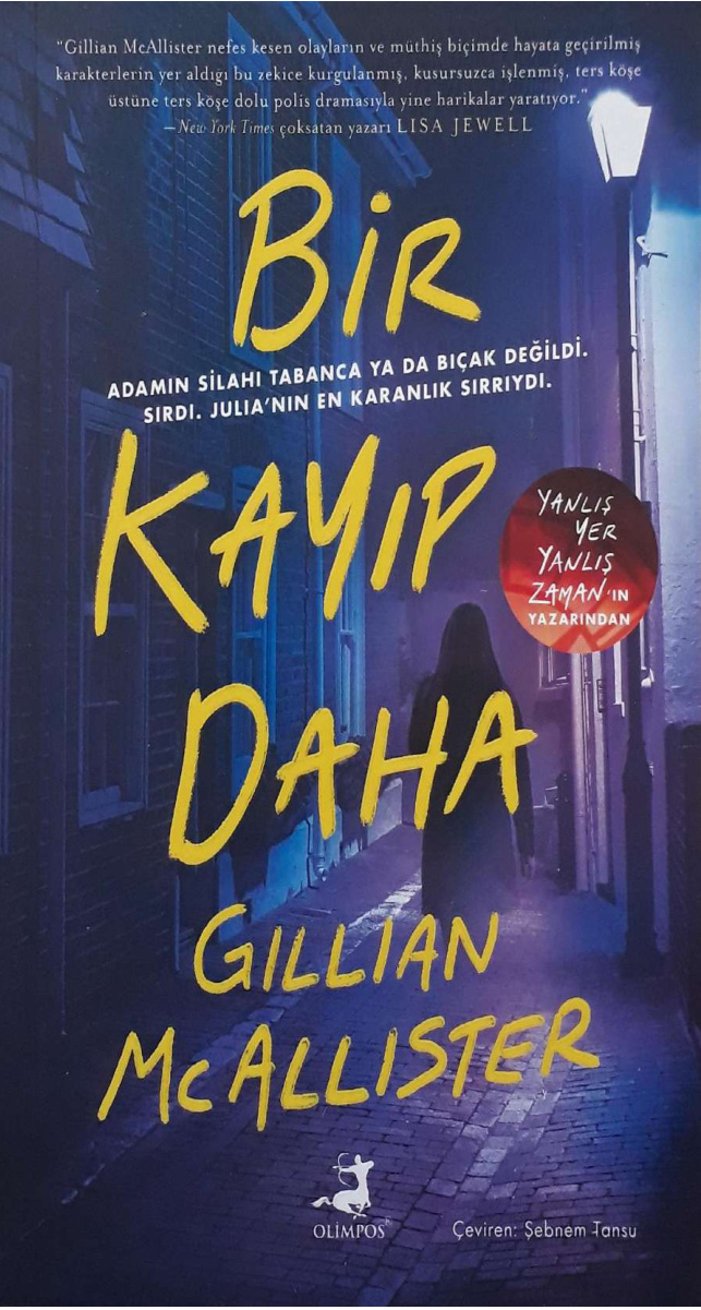 Bir Kayıp Daha PDF İndir