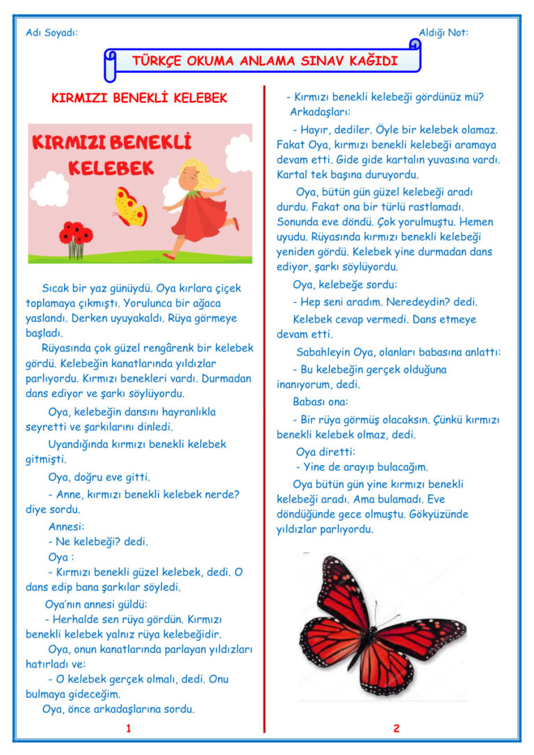 Kırmızı Benekli Kelebek Masalı Okuma Anlama Sınavı Kitap Kapağı