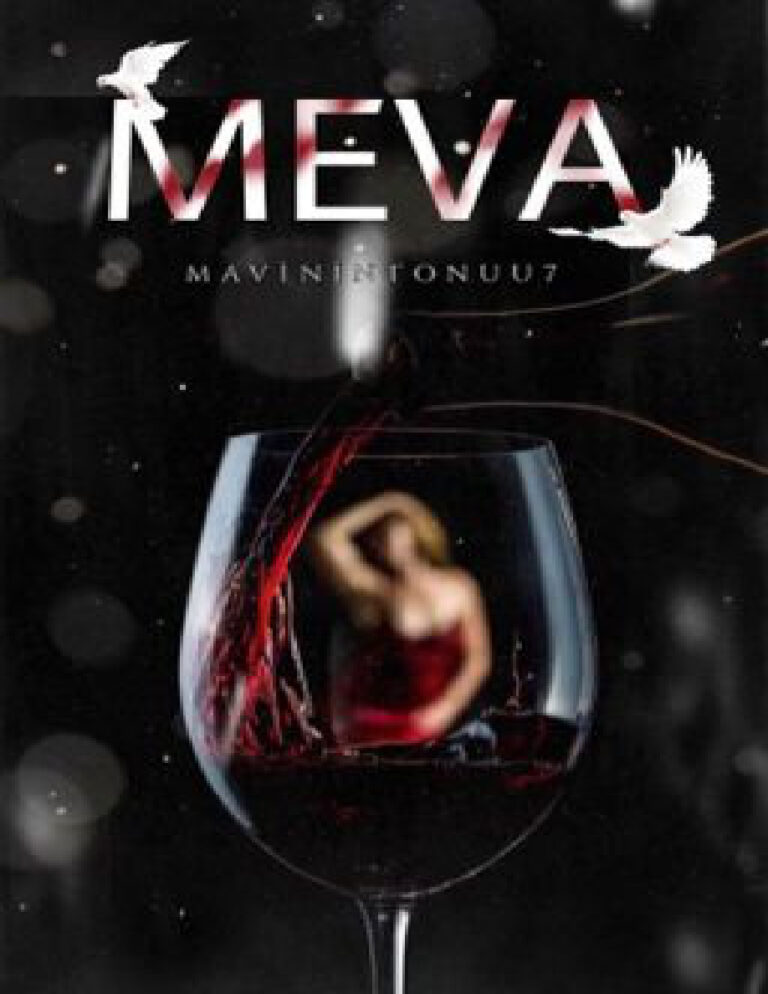MEVA mavinintonuu7 Kitap Kapağı