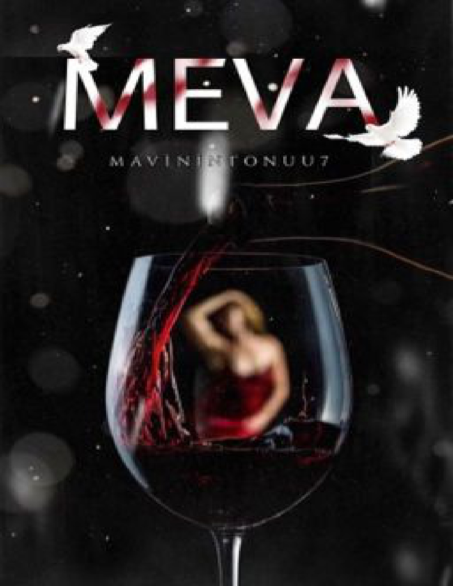 Meva PDF İndir – mavinintonuu7