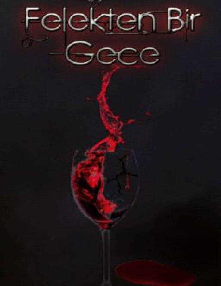 Manyak yazar Felekten Bir Gece Kitap Kapağı