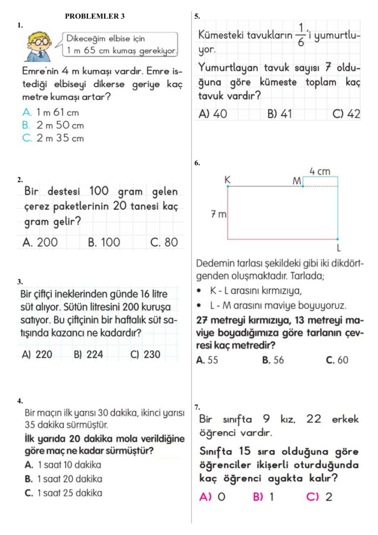 PROBLEMLER 3 Kitap Kapağı