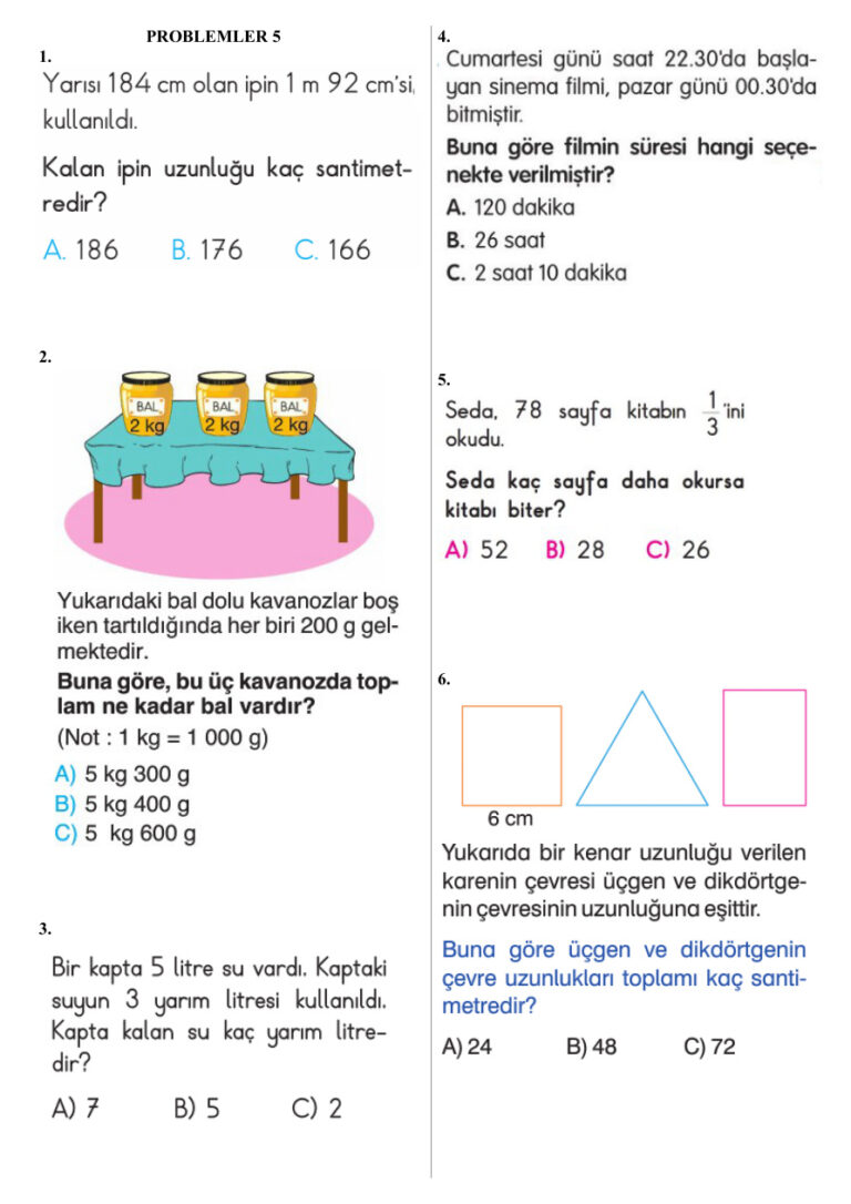 PROBLEMLER 5 Kitap Kapağı