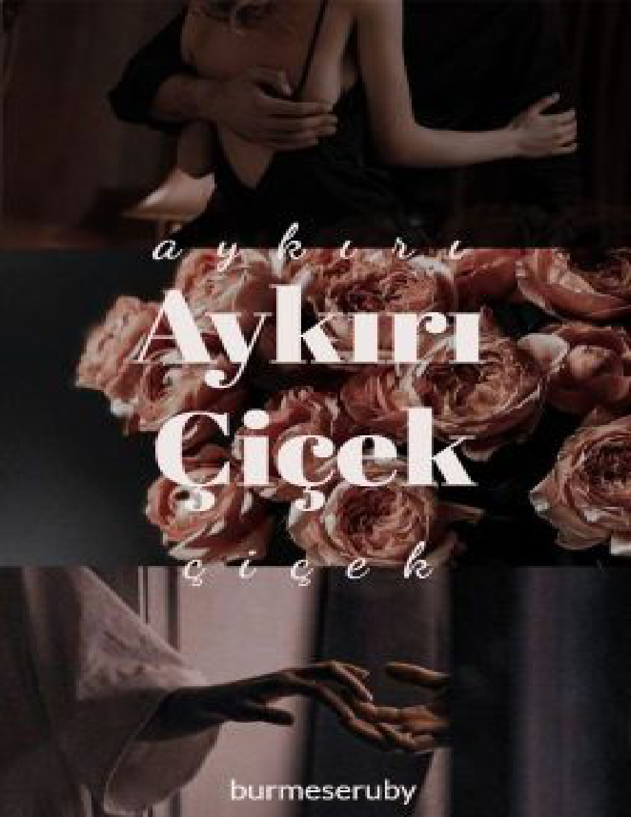 Aykırı Çiçek PDF İndir – Sena