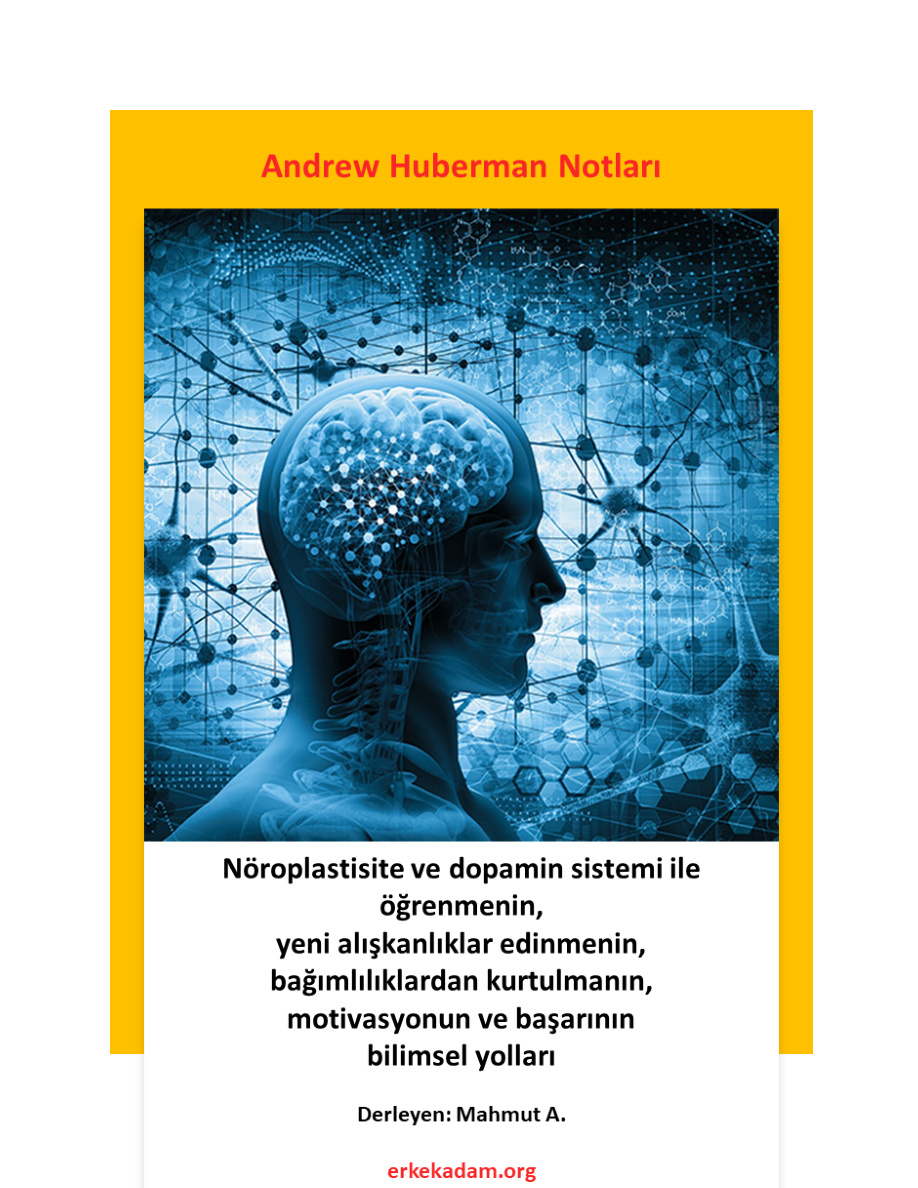 Andrew Huberman Notları 1 PDF İndir