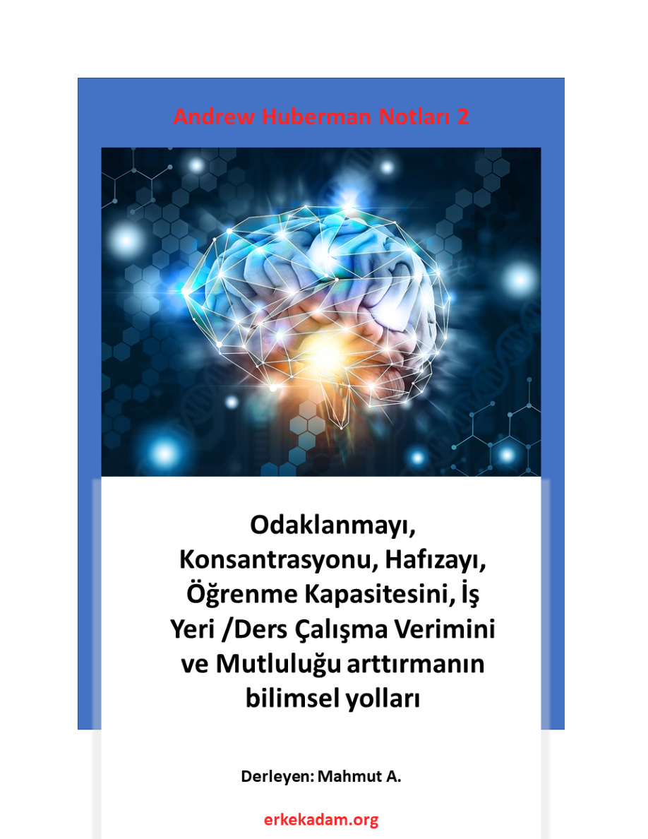 Andrew Huberman Notları 2 PDF İndir