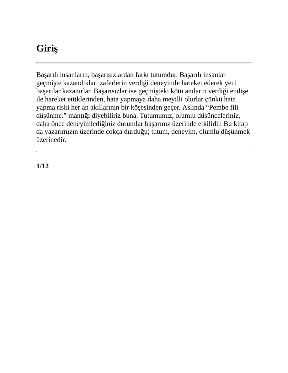 Başarı İçin Stratejiler PDF İndir