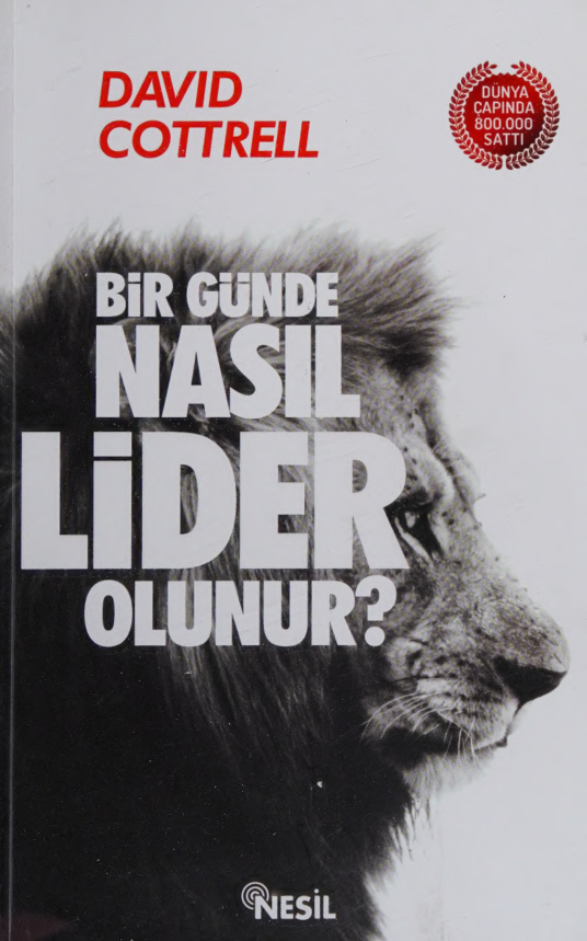 Bir Günde Nasıl Lider Olunur PDF İndir
