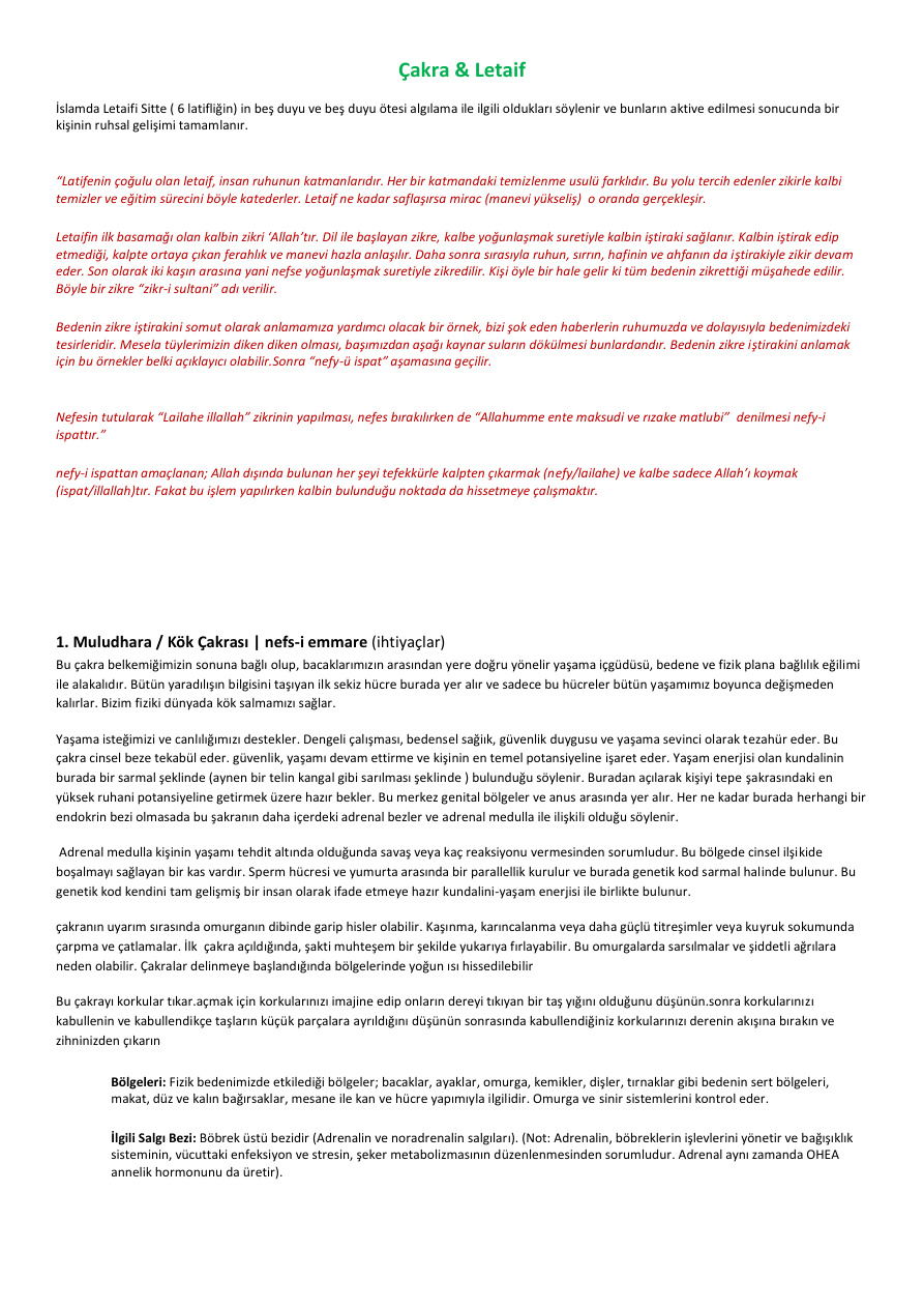 Çakra ve Letaif PDF İndir