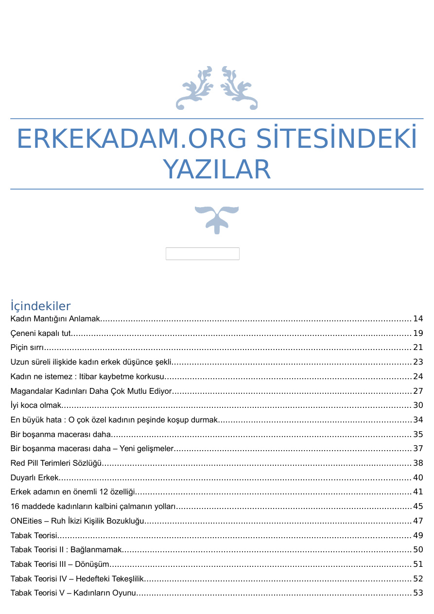 Erkek Adam Sitesi Makaleleri Derlemesi PDF İndir