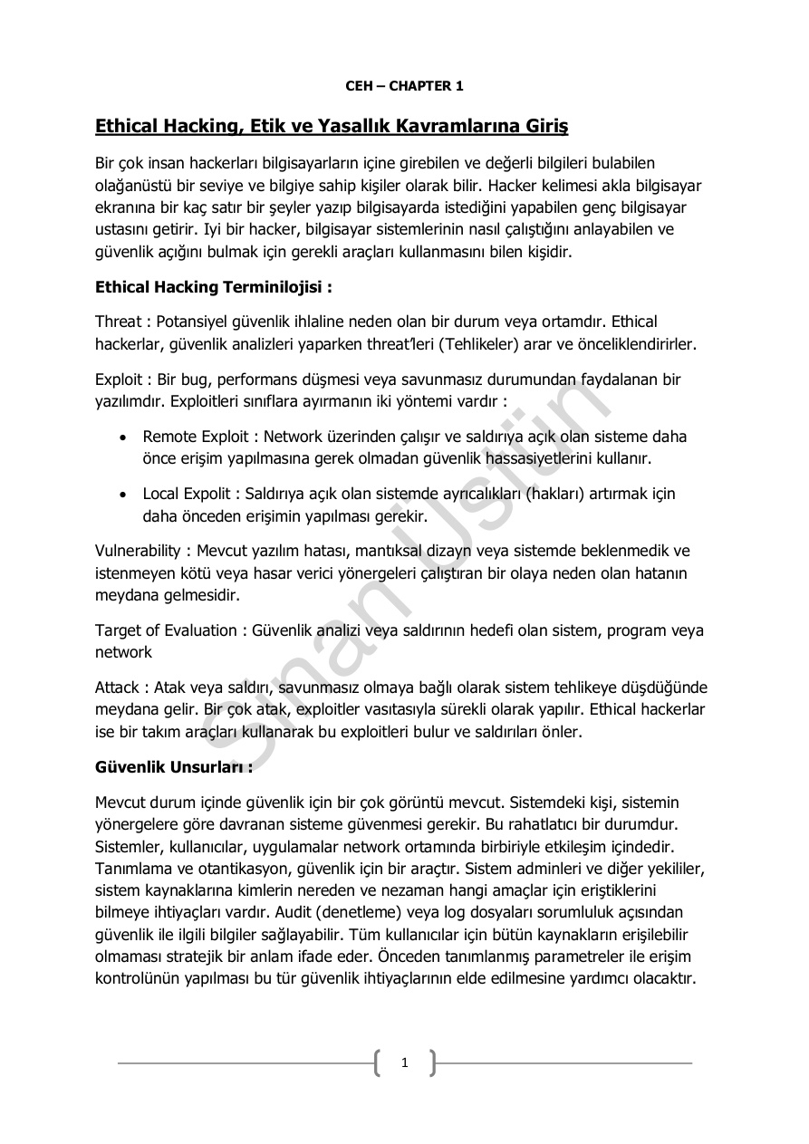 Ethical Hacking: Etik ve Yasallık Kavramlarına Giriş PDF İndir