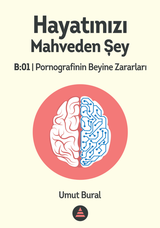 Hayatını Mahveden Şey: Porno PDF İndir