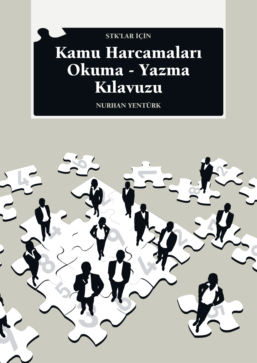 Kamu Harcamaları Okuma Yazma Kılavuzu PDF İndir