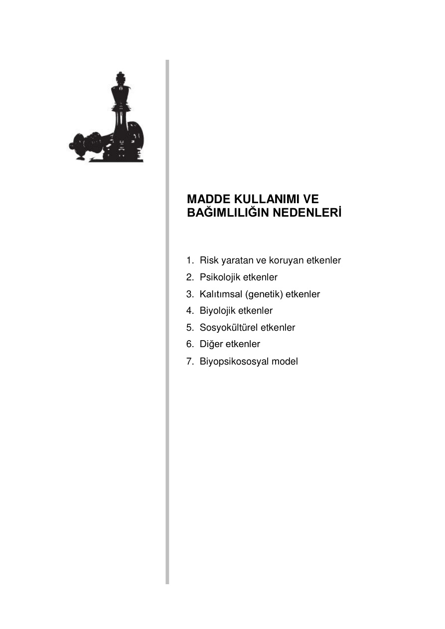 Madde Kullanımı ve Bağımlılığın Nedenleri PDF İndir